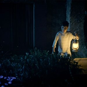 Bilder My Family and the Wolf