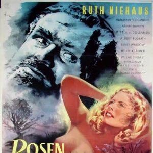 Bilder Rosen blühen auf dem Heidegrab