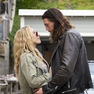 Bilder Animal Kingdom