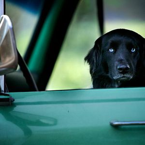 Bilder Unsere große kleine Farm