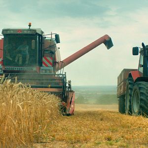 Bilder Das Land meines Vaters