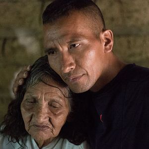 Bilder Thinking Like A Mountain