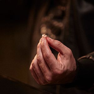 Bilder Dente por Dente