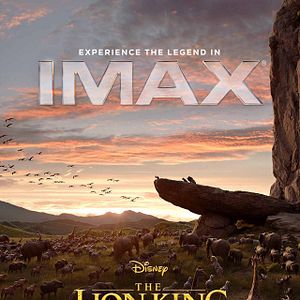 Bilder Der König der Löwen