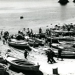 Bilder Die Erde bebt