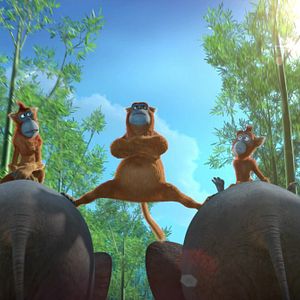 Bilder Mission Panda - Ein tierisches Team