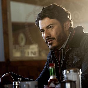 Bilder Animal Kingdom