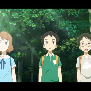 Bilder Penguin Highway