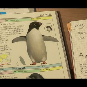 Bilder Penguin Highway