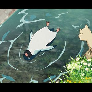 Bilder Penguin Highway