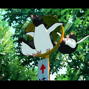 Bilder Penguin Highway