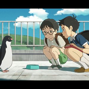 Bilder Penguin Highway