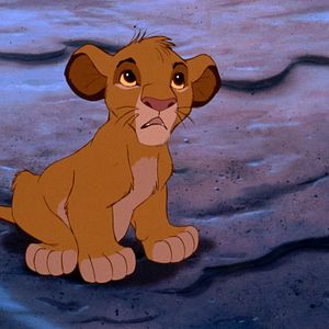 Bilder Der König der Löwen