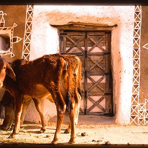 Bilder Princes et Vagabonds