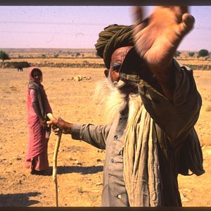 Bilder Princes et Vagabonds