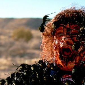 Bilder Dead Ant - Monsters vs Metal