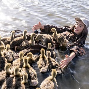Bilder Der Junge und die Wildgänse