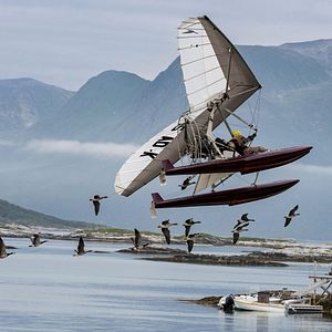 Bilder Der Junge und die Wildgänse