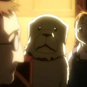 Bilder Fullmetal Alchemist