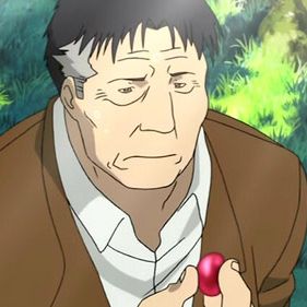 Bilder Fullmetal Alchemist