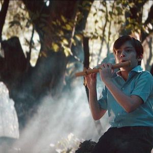 Bilder Plauto, um Sopro Musical