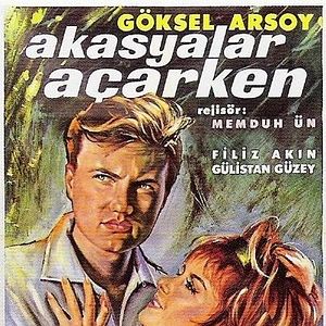 Bilder Akasyalar Açarken