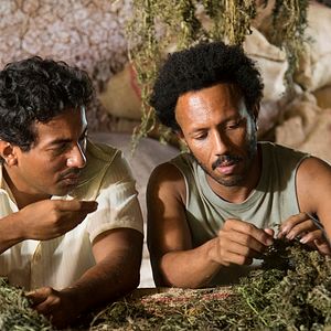 Bilder Birds of Passage - Das grüne Gold der Wayuu