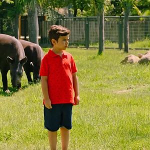 Bilder Konuşan Hayvanlar