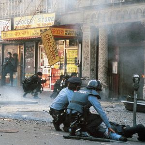 Bilder Léon - Der Profi