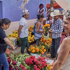 Bilder But Beautiful