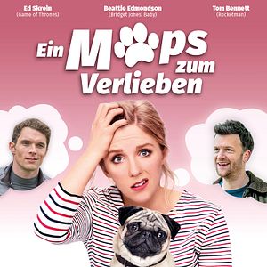 Bilder Ein Mops zum Verlieben