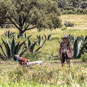 Bilder Me gusta, pero me asusta