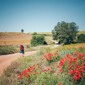 Bilder Nur die Füße tun mir leid