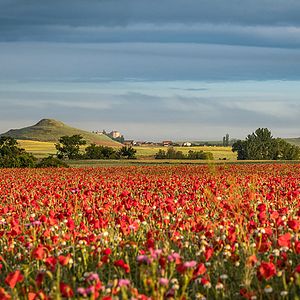 Bilder Nur die Füße tun mir leid