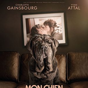 Bilder Der Hund bleibt