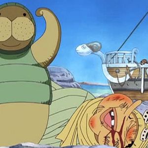 Bilder One Piece