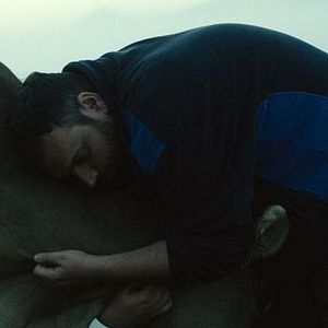 Bilder Lessons Of Love