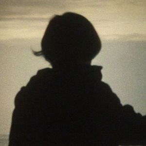 Bilder Rasendes Grün mit Pferden