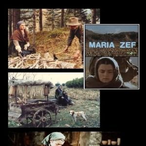 Bilder Maria Zef
