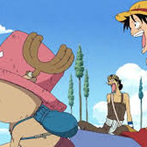 Bilder One Piece