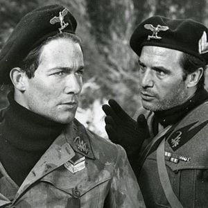 Bilder Schuss auf die Taube