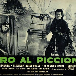 Bilder Schuss auf die Taube