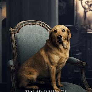 Bilder Downton Abbey