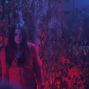 Bilder Halloween Haunt