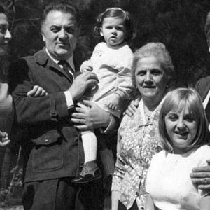 Bilder Roter Holunder