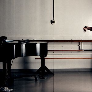 Bilder Mein Begleiter