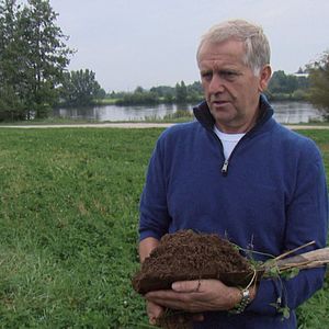 Bilder Aus Liebe zum Überleben