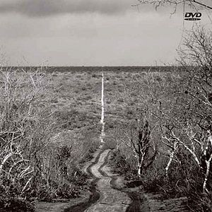 Bilder Amores Roubados - O Filme