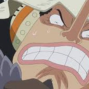 Bilder One Piece