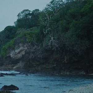 Bilder Die Insel der hungrigen Geister